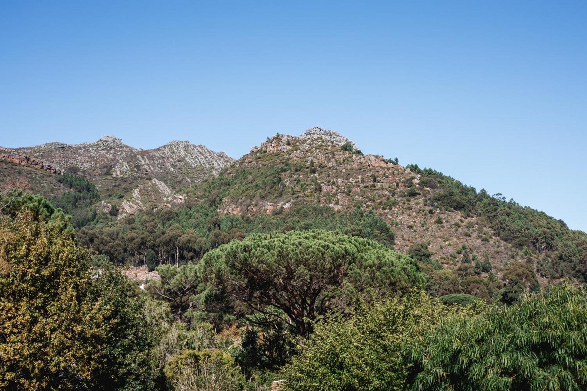 Strelitzia Cottage Cape Town Luaran gambar