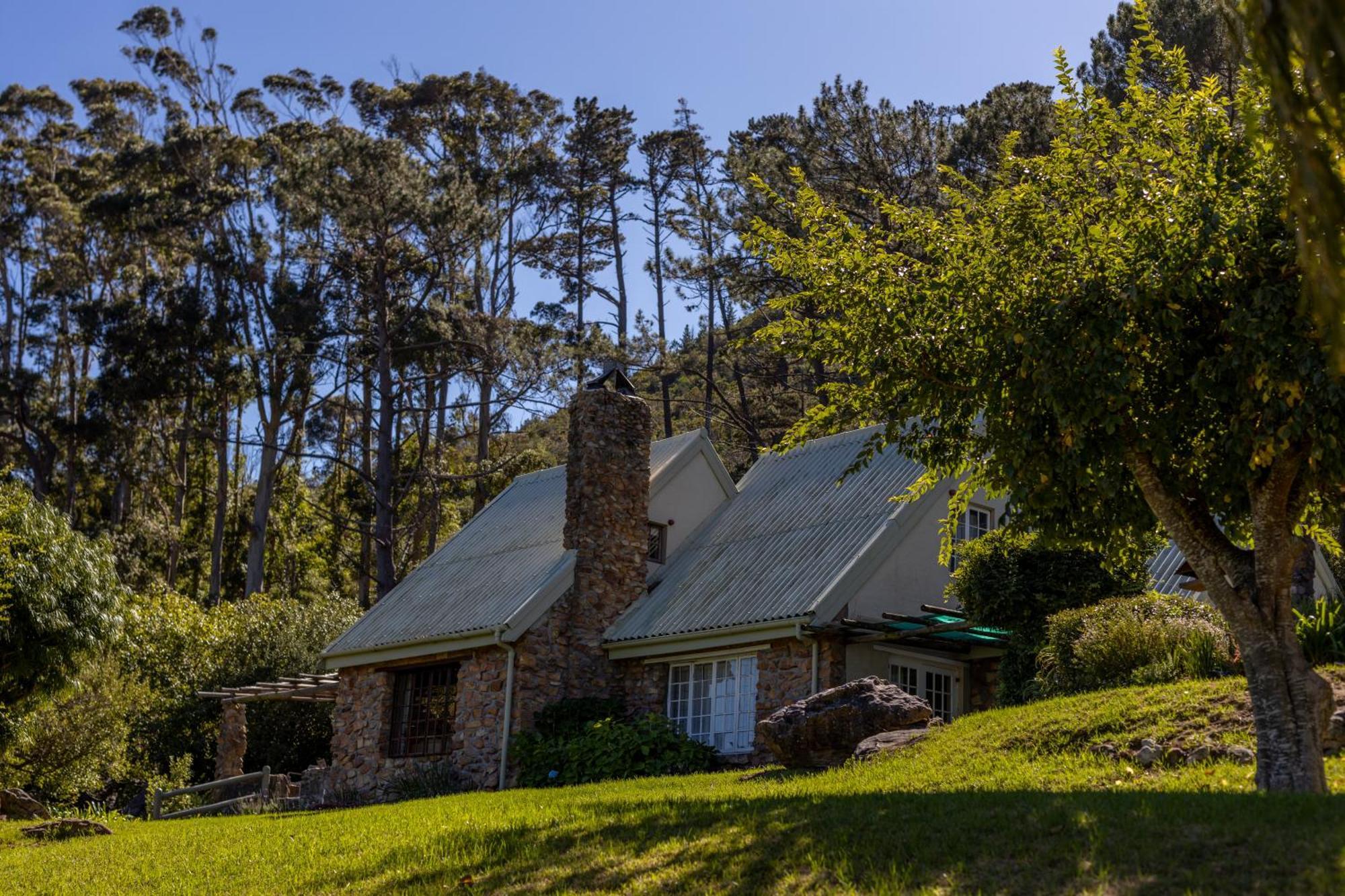 Strelitzia Cottage Cape Town Luaran gambar