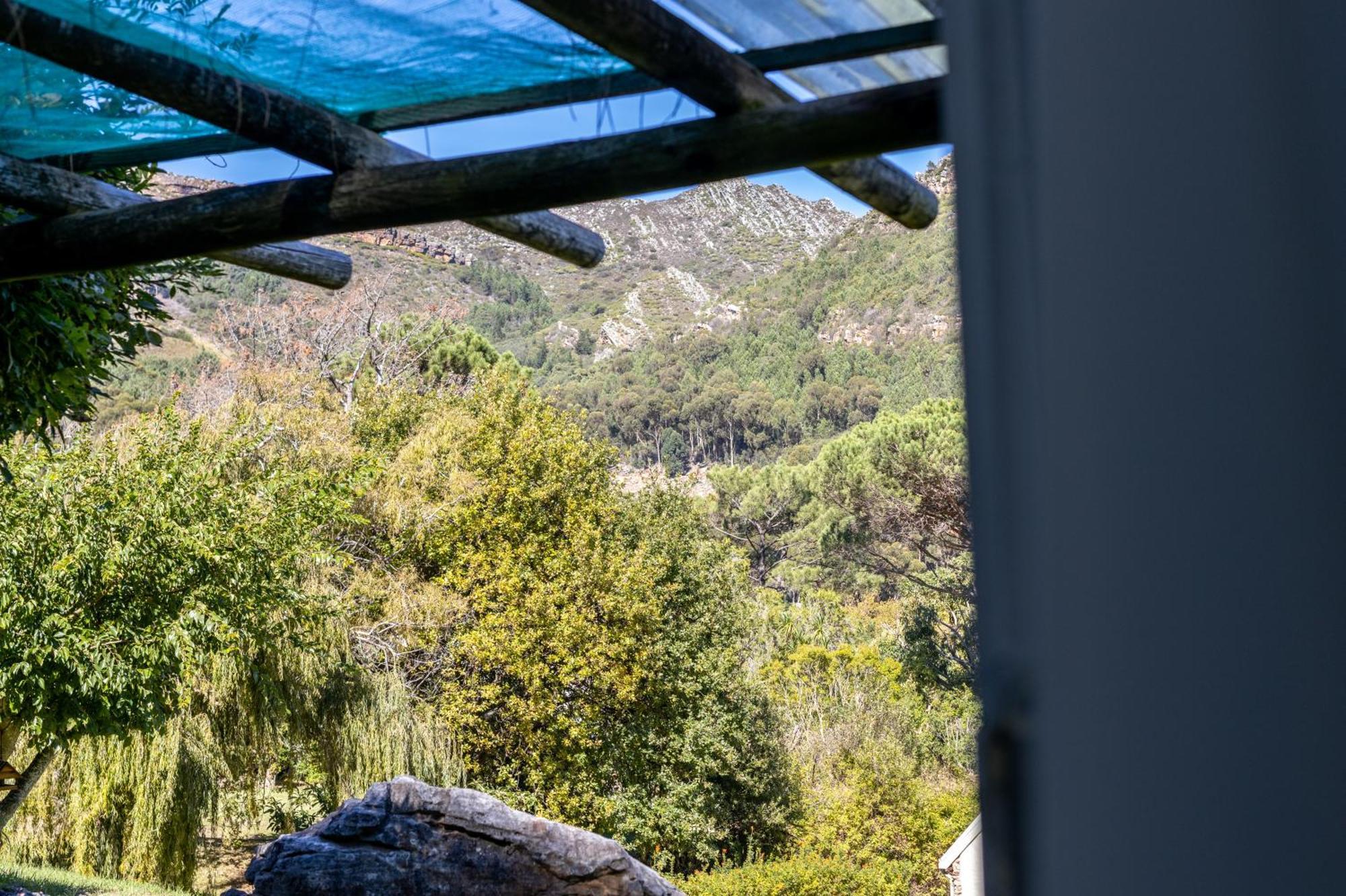 Strelitzia Cottage Cape Town Luaran gambar