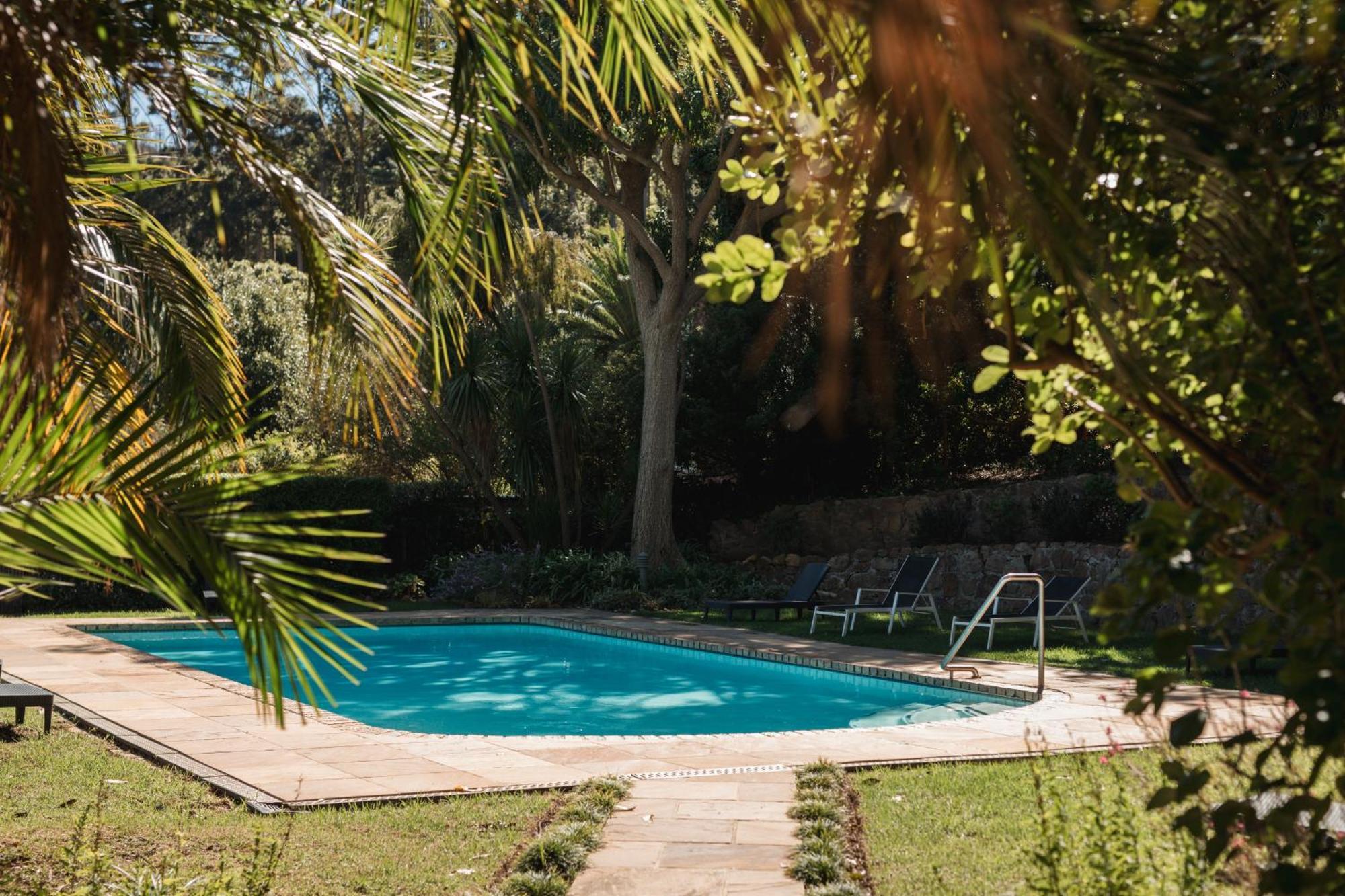Strelitzia Cottage Cape Town Luaran gambar