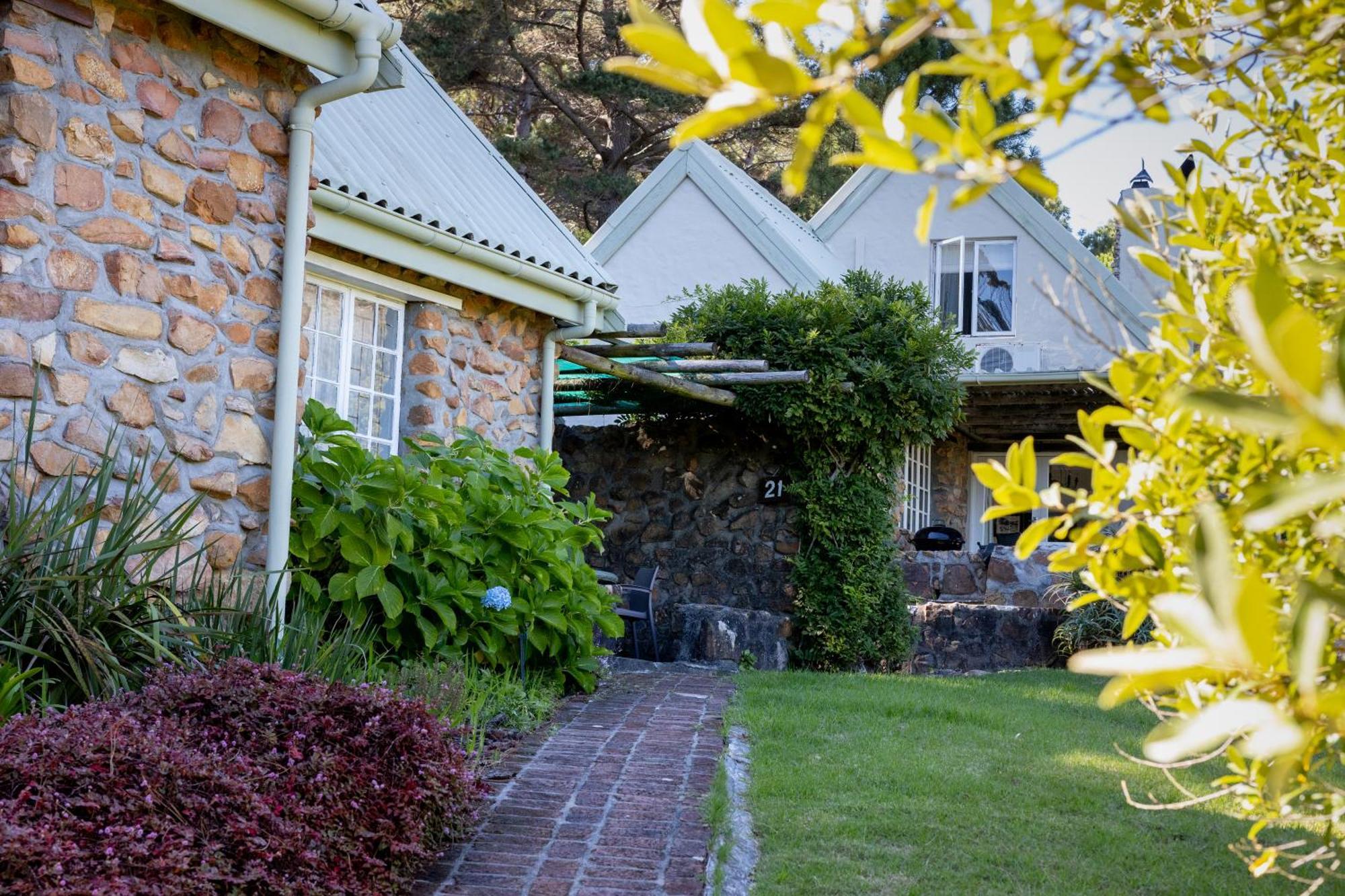 Strelitzia Cottage Cape Town Luaran gambar